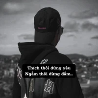 nguyễn hảo trung ( đàn em bảo )