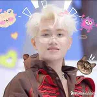 duck duy