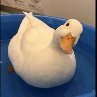 PuTume ( Tác giả)