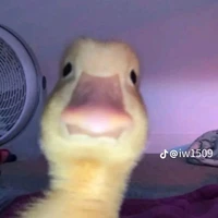 tg bị ngu ^^