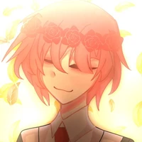 TT hiha