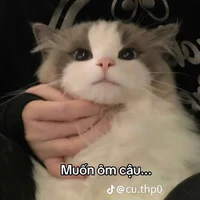 all