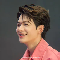 Bùi Anh Tú