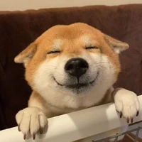 éc éc