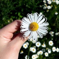 Tác giả thèm Ngược