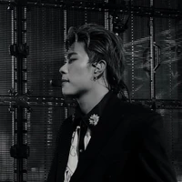 𝘋𝘶𝘰𝘯𝘨𝘋𝘰𝘮𝘪𝘤-tđd