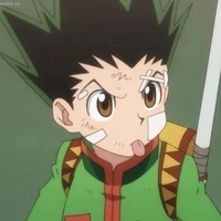 Gon Freecs
