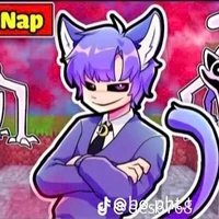 Hiha Catnap
