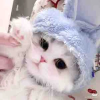 All(trừ những ai thì trừ)