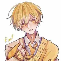 Hikari Tsukiyo(Hội Trưởng khu ♥️/em trai Aki)