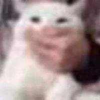tg