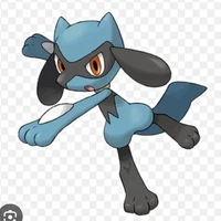 Riolu _ Yuuki