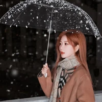 Trịnh Đan Ny