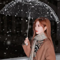 Trịnh Đan Ny