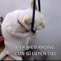 T/g Biyuu