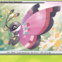 vivillon_satoshi