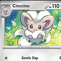 cinccino
