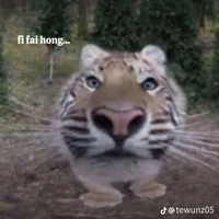 Teo là ác quỉ ff😈