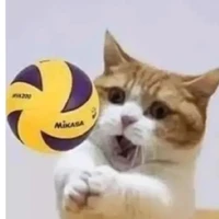 nhớ cái karasuno hỗn loạn