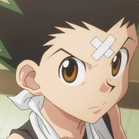 Gon freescss