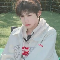 Trần Dịch Hằng