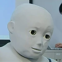 Quái thai đầu trâu mặt ngựa