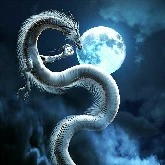 Rồng ( Ase)