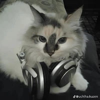 Bố của tằng anh ngưu