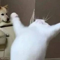 Hệ thống 005 [ Mồn lèo ]