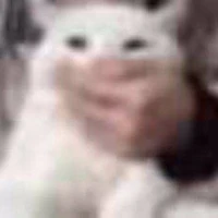 Hệ thống 005 [ Mồn lèo ]