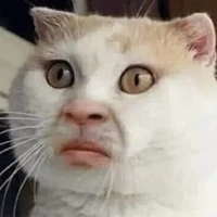 tg