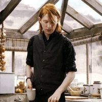 Bill Weasley