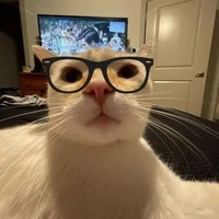 ori