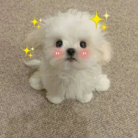 kimberly(tác giả)