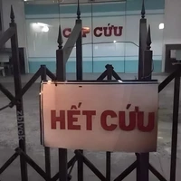 All [Lũ Báo Đời]