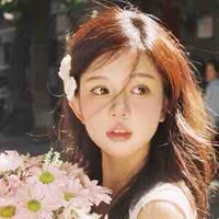 Lee Ari 