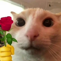 All