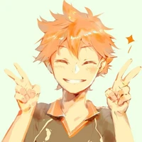 Hinata Shoyo /O/