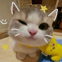 tác giả đẹp zai