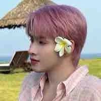 Huỳnh hoàng hùng ( gem )