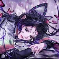 kocho shinobu/cô kocho🦋/