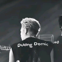 Trần Đăng Dương ( Dương domic )