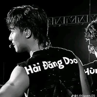 Đỗ Hải Đăng (  Hải Đăng Doo )