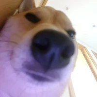 Nv phụ nào đó :v