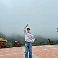 Metawin