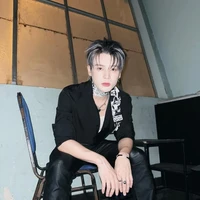 Phạm Đình Thái Ngân(Thái Ngân)