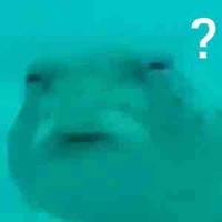 Nhân vật bí ẩn