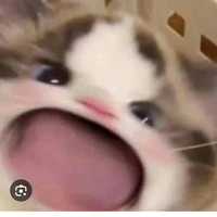 t/g