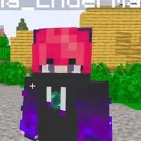 hiha enderman