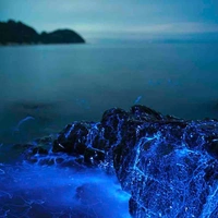 Một người nào đó 